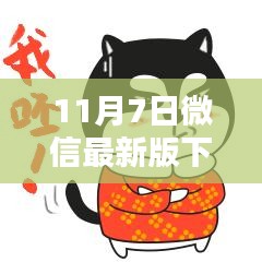 项目介绍 第574页