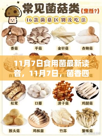九死一生 第13页