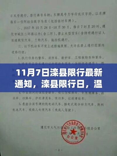项目介绍 第569页