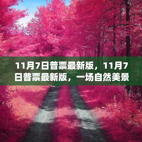 企业优势 第552页