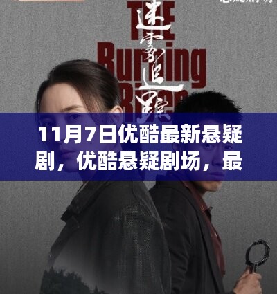 项目介绍 第567页