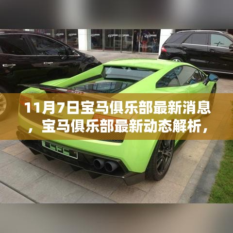 项目介绍 第565页