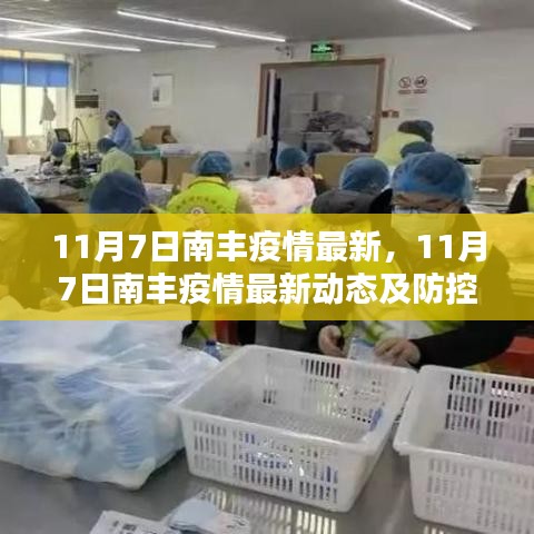 11月7日南丰疫情最新动态，防控措施分析与更新