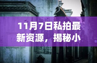 项目介绍 第562页