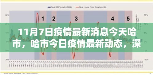 哈尔滨疫情最新动态，今日分析与个人观点分享（11月7日更新）