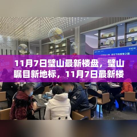 项目介绍 第556页