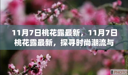探寻时尚潮流与古老魅力的交融，11月7日桃花露最新动态