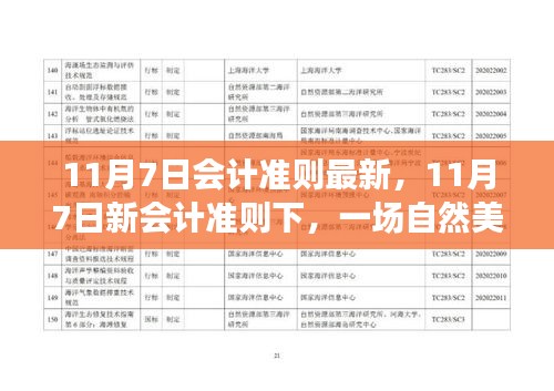 项目介绍 第554页