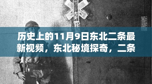 项目介绍 第550页