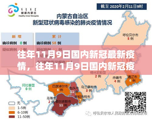 往年11月9日国内新冠疫情回顾与最新动态分析
