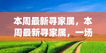 本周最新寻家属之旅，与自然美景的邂逅与寻找内心平和的旅程
