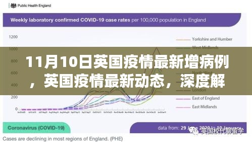 行业新闻 第528页