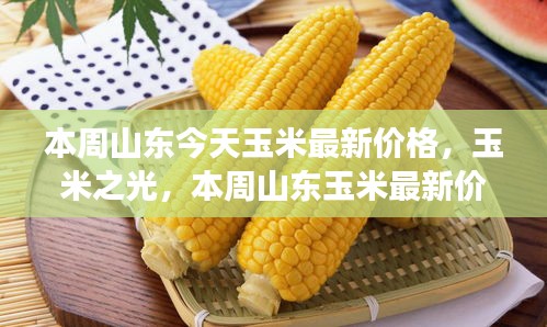 初遇在故事开头 第9页