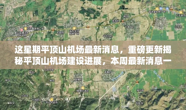 容光焕发 第8页
