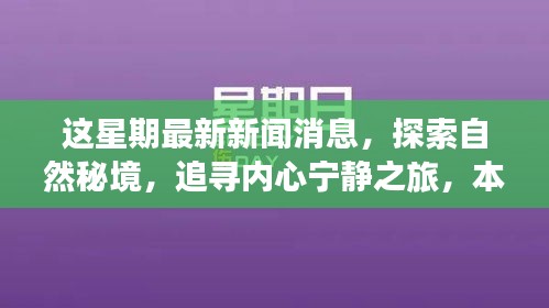 本周新闻热点下的自然秘境探索与心灵宁静之旅启示