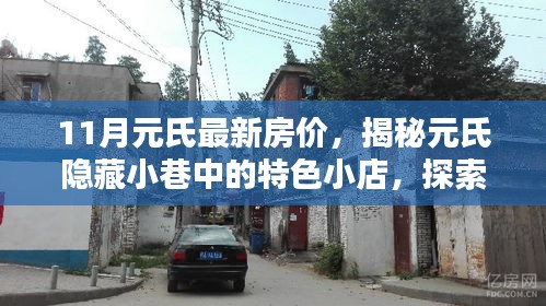 项目介绍 第507页