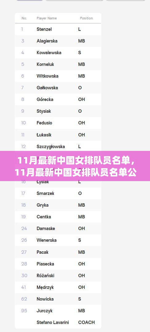中国女排新篇章，11月最新队员名单公布，崛起的力量