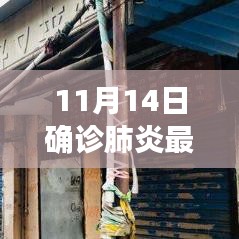 11月14日确诊肺炎最新统计与小巷特色小店的独特故事探索