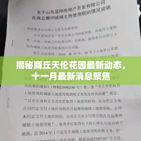 揭秘商丘天伦花园最新动态，十一月最新消息聚焦