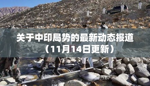 穷鸟入怀 第4页