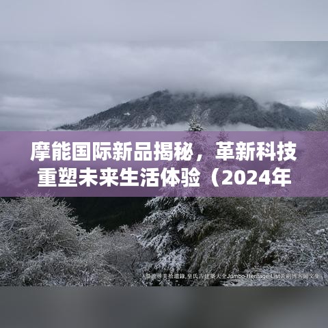 行业新闻 第481页