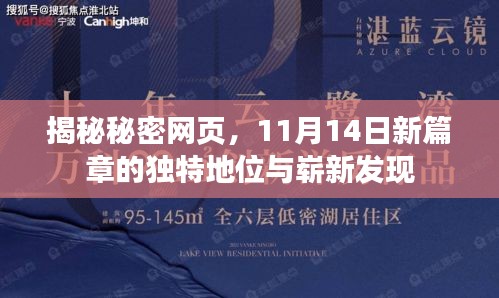 揭秘秘密网页，11月14日新篇章的独特地位与崭新发现