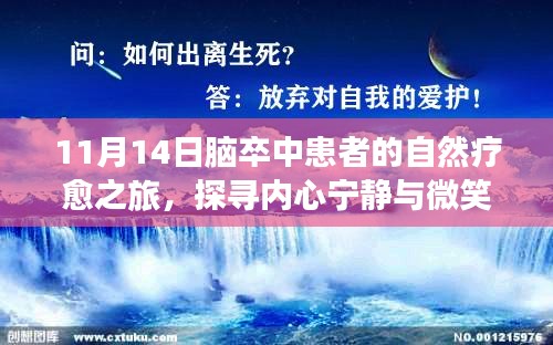 焚膏继晷 第4页