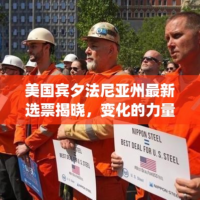 项目介绍 第481页