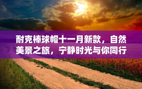 飞蛾扑火 第5页