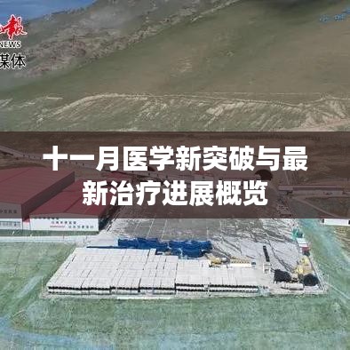 十一月医学新突破与最新治疗进展概览