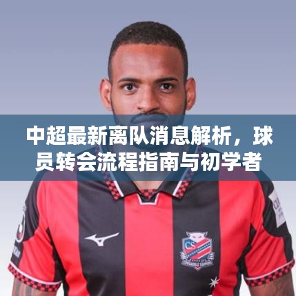 纲挈目张 第4页
