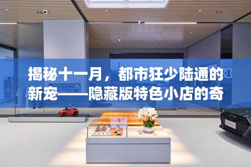 揭秘十一月，都市狂少陆通的新宠——隐藏版特色小店的奇妙之旅