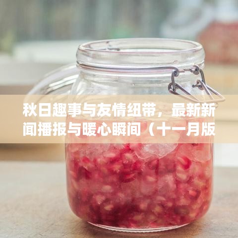 秋日趣事与友情纽带，最新新闻播报与暖心瞬间（十一月版）