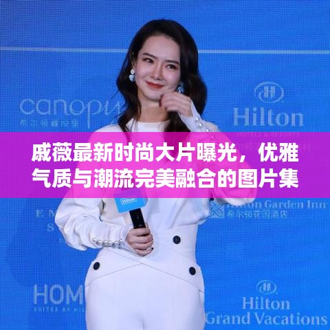 企业优势 第448页