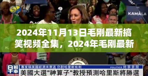 2024年11月13日毛刚最新搞笑视频全集，2024年毛刚最新搞笑视频全集，欢乐盛宴，不容错过