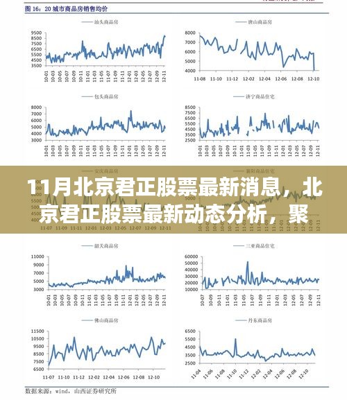 象耕鸟耘 第4页