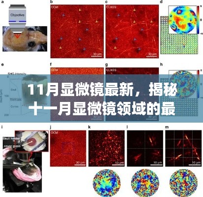 雅人深致 第3页