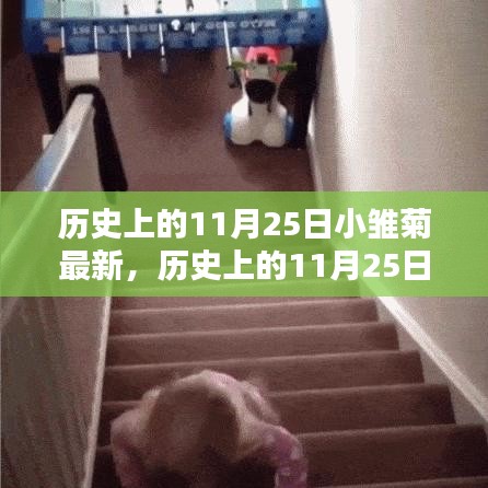 法不阿贵 第4页