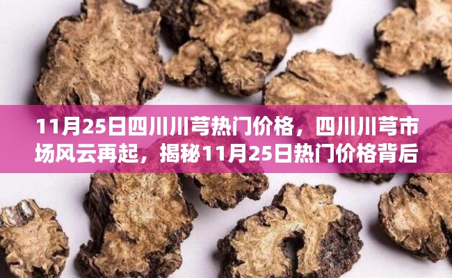 精耕细作 第3页