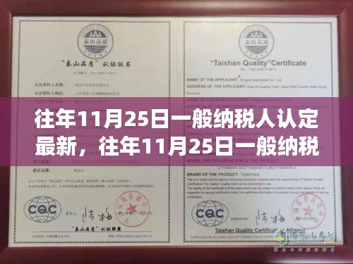 往年11月25日一般纳税人认定最新解读，特性、体验、竞争分析与目标用户群体全面剖析