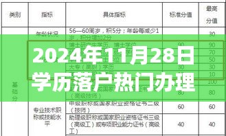 探秘学历落户宝藏，2024年11月28日热门办理之旅揭秘！