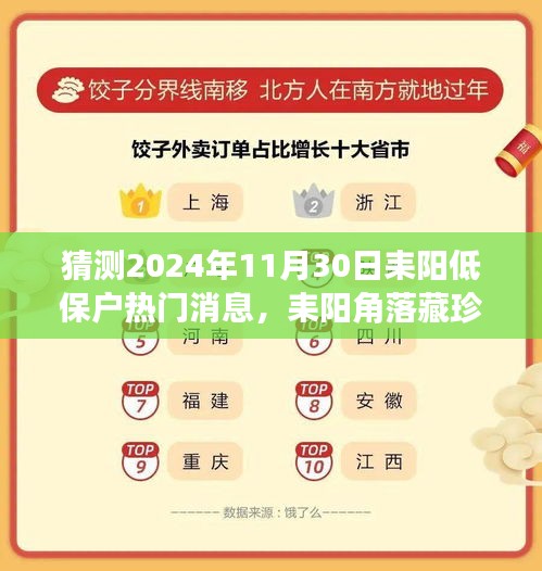 耒阳低保户角落藏珍，2024年11月30日热门话题揭秘