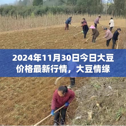 乌鸟之情 第3页