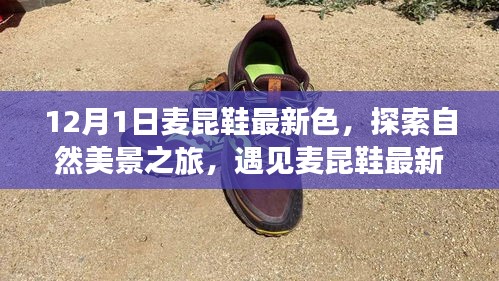 行业新闻 第366页