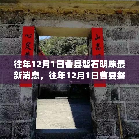 往年12月1日曹县磐石明珠最新消息概览