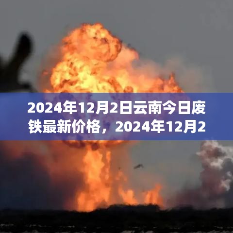 项目介绍 第359页