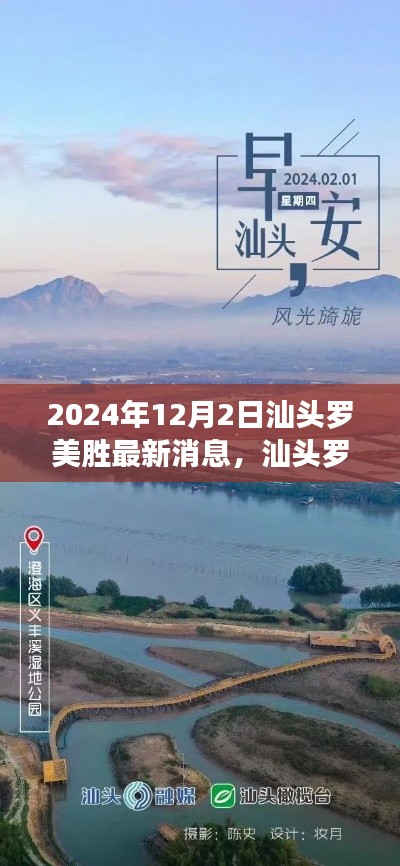 偷工减料 第3页