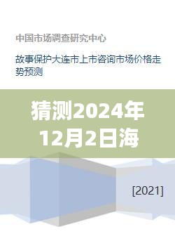 预测视角下的海口圆通热门事件展望——揭秘未来事件动向与影响分析（2024年12月2日）