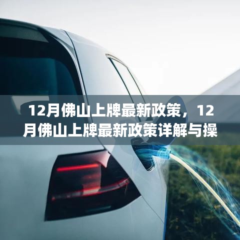 12月佛山上牌最新政策详解与操作指南，初学者与进阶用户必看