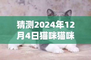 企业优势 第342页